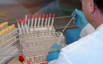 NRZ Influenza: Aufarbeitung von Patientenproben. Quelle: © RKI