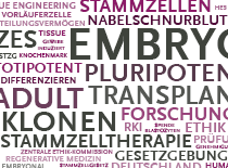 Wortwolke mit Begriffen aus der Zentralen Ethik-Kommission für Stammzellforschung. Quelle: © Robert Koch-Institut