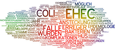 Bunte Buchstabenwolke mit Begriffen aus Medizin und Epidemiologie. © XtravaganT/Fotolia.com
